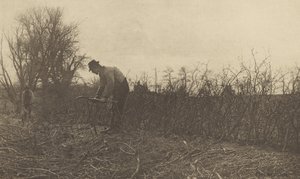 Vedações em Suffolk de Peter Henry Emerson