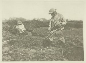 Corte de Furze em um Suffolk Common de Peter Henry Emerson