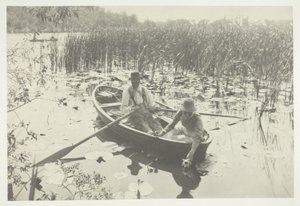Colhendo Nenúfares de Peter Henry Emerson