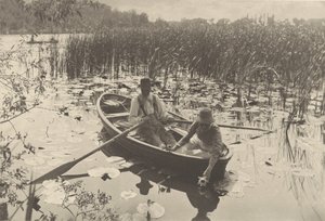 Recolha de nenúfares de Peter Henry Emerson