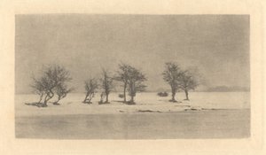 Árvores de Espinho Retorcido de Peter Henry Emerson