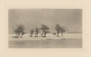 Espinheiros Retorcidos de Peter Henry Emerson