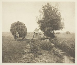 No Haysel (Norfolk) de Peter Henry Emerson