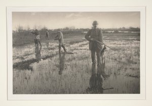 Homens a caçar num pântano de Peter Henry Emerson