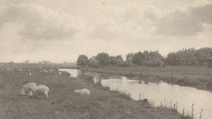 No rio Bure, 1886 (foto) de Peter Henry Emerson