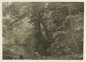 "Pike Pool" (a partir de baixo) de Peter Henry Emerson