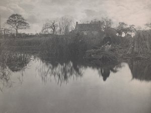 Quanting the Gladdon de Peter Henry Emerson