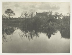 Quanting the Gladdon de Peter Henry Emerson