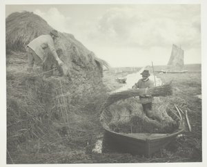 Rock no Recife de Peter Henry Emerson