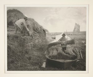 Ricking the Reed de Peter Henry Emerson
