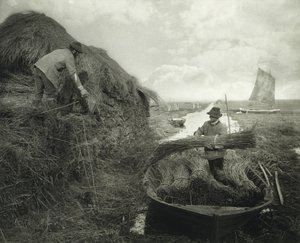 Ricking the Reed, c.1885 (impressão em platina)