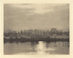 Cristais de cal, em ou antes de 1895 (foto) de Peter Henry Emerson