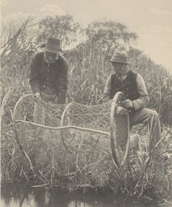 Configurando o Bow-Net de Peter Henry Emerson