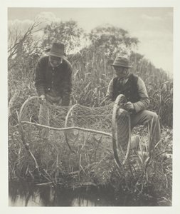 Configurar a rede de arcos de Peter Henry Emerson