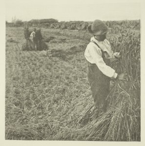 Milho Chocante (Norfolk) de Peter Henry Emerson