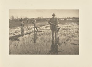  de Peter Henry Emerson