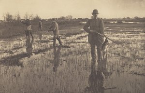  de Peter Henry Emerson