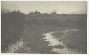 A orla do pântano de Peter Henry Emerson