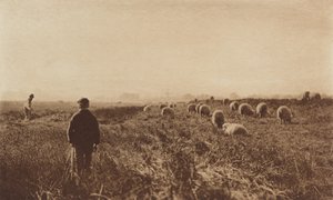 Os pântanos em junho de Peter Henry Emerson