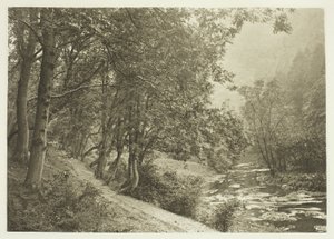 O caminho sobre o primeiro Brae, Dove Dale de Peter Henry Emerson