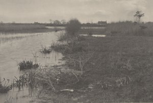 Uma manhã de outono de Peter Henry Emerson and T.F. Goodall