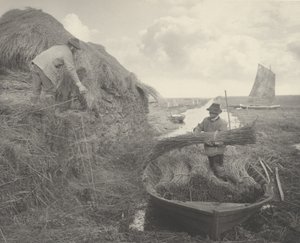 Rock no Recife de Peter Henry Emerson and T.F. Goodall