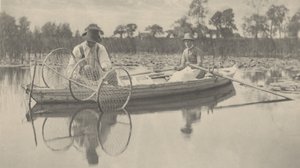 Configurando o Bow-Net de Peter Henry Emerson and T.F. Goodall