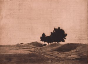 Paisagem noturna