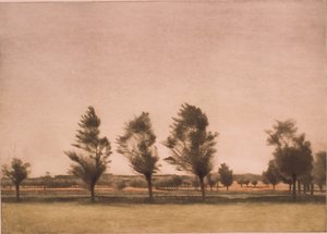 Paisagem de Falster