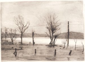 Lote da floresta de Peter Vilhelm Ilsted