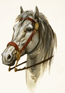 Cavalo não identificado de Peter Jackson