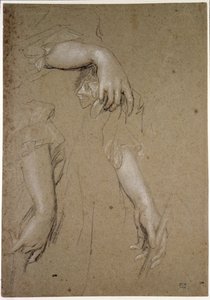 Estudos das Mãos, século XVII (giz sobre papel) de Peter Lely