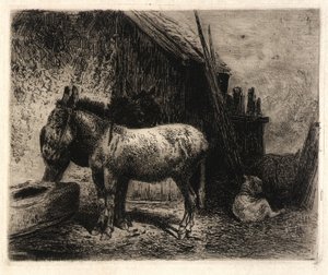 (Burros e Ovelhas) de Peter Moran