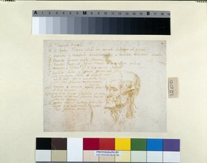 Cabeça Ecorché, com as características do Imperador Galba (caneta e tinta marrom sobre papel branco) de Peter Paul Rubens