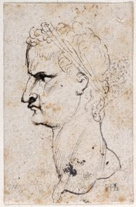 Gaius Caligula, de dez desenhos de oito dos primeiros doze Césares, após as medalhas de Giovanni da Cavino (caneta e tinta sobre papel) de Peter Paul Rubens