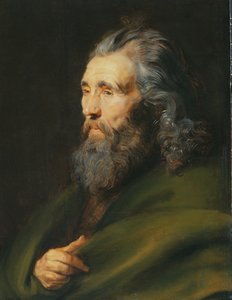 Estudo da Cabeça de um Homem de Barba, c.1617 de Peter Paul Rubens
