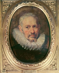 Cabeça de um homem velho (óleo em canavos) de Peter Paul Rubens
