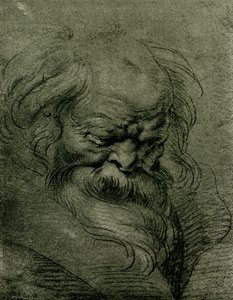 Estudo da cabeça para Baco de Peter Paul Rubens