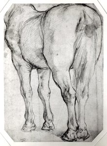 Parte traseira do cavalo de Peter Paul Rubens