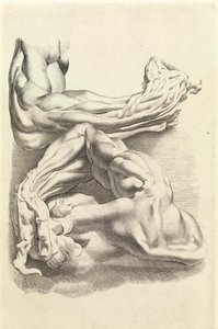 Músculos (gravura) de Peter Paul Rubens