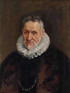 Retrato de um homem barbudo de Peter Paul Rubens
