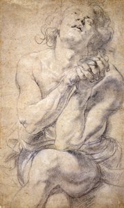 Juventude Masculina Sentada (Estudo para Daniel) de Peter Paul Rubens
