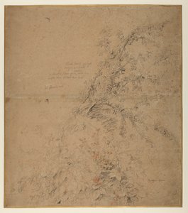 Estudo de blackthorn com amora e outras plantas, 1620 circa de Peter Paul Rubens