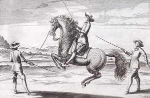 Ilustração de um en Croupade do cavalo do tratado novo para produzir os cavalos escritos por invernos, por Stuterey e por Reit-Schul, bar. 1672 de Peter Paul Troschel