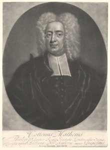 Algodão Mather