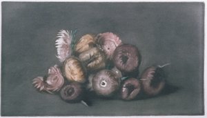 Natureza Morta de Flores Secas (mezzotint colorido) de Peter Vilhelm Ilsted