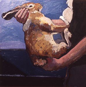 Os coelhos tornam-se rapidamente domesticados se forem tratados corretamente de Peter Wilson