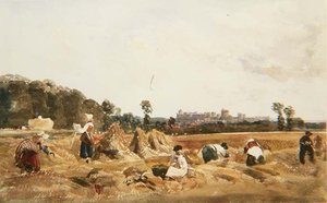 PD.129-1950 Cornfield, Windsor de Peter de Wint