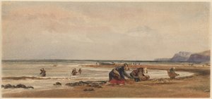 Colhedores de algas na costa de Redcar, Yorkshire