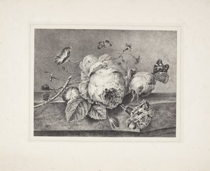 Flor ainda vida de Petronella van Woensel